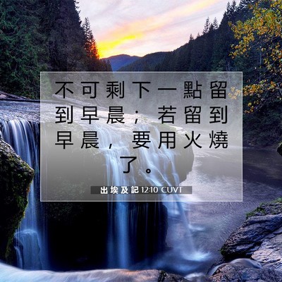 Picture 07 - 出 埃 及 記 12:10 CUVT - 不 可 剩 下 一 點 留 到 早 晨 ； 若 - Bible Verse Picture