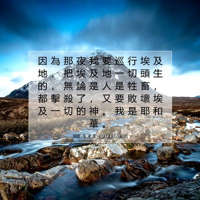 Picture 07 - 出 埃 及 記 12:12 CUVT - 因 為 那 夜 我 要 巡 行 埃 及 地 ， - Bible Verse Picture
