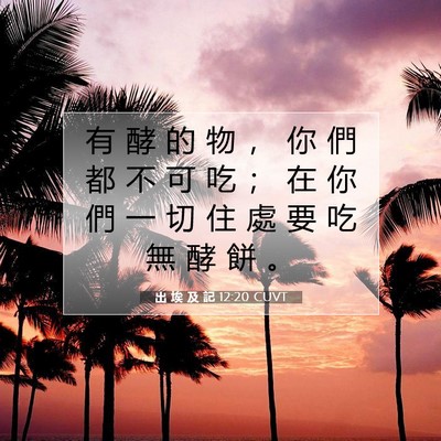 Picture 07 - 出 埃 及 記 12:20 CUVT - 有 酵 的 物 ， 你 們 都 不 可 吃 ； - Bible Verse Picture