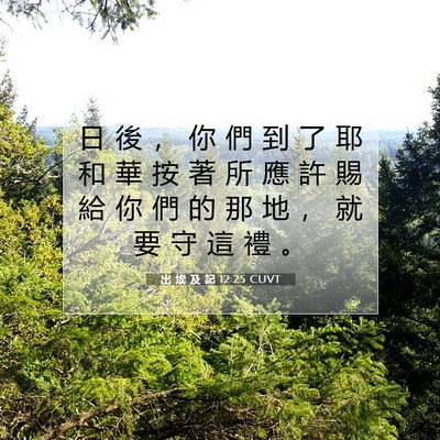 Picture 07 - 出 埃 及 記 12:25 CUVT - 日 後 ， 你 們 到 了 耶 和 華 按 著 - Bible Verse Picture