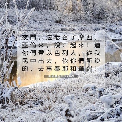 Picture 07 - 出 埃 及 記 12:31 CUVT - 夜 間 ， 法 老 召 了 摩 西 、 亞 倫 - Bible Verse Picture