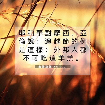Picture 07 - 出 埃 及 記 12:43 CUVT - 耶 和 華 對 摩 西 、 亞 倫 說 ： 逾 - Bible Verse Picture