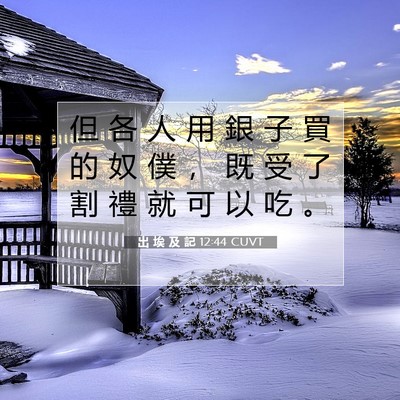 Picture 07 - 出 埃 及 記 12:44 CUVT - 但 各 人 用 銀 子 買 的 奴 僕 ， 既 - Bible Verse Picture