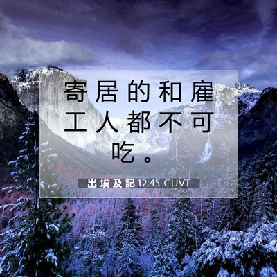 Picture 07 - 出 埃 及 記 12:45 CUVT - 寄 居 的 和 雇 工 人 都 不 可 吃 - Bible Verse Picture