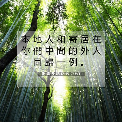 Picture 07 - 出 埃 及 記 12:49 CUVT - 本 地 人 和 寄 居 在 你 們 中 間 的 - Bible Verse Picture