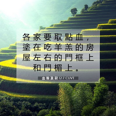 Picture 07 - 出 埃 及 記 12:7 CUVT - 各 家 要 取 點 血 ， 塗 在 吃 羊 羔 - Bible Verse Picture