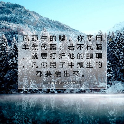 Picture 07 - 出 埃 及 記 13:13 CUVT - 凡 頭 生 的 驢 ， 你 要 用 羊 羔 代 - Bible Verse Picture