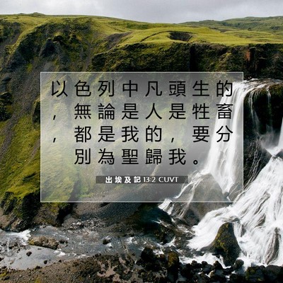 Picture 07 - 出 埃 及 記 13:2 CUVT - 以 色 列 中 凡 頭 生 的 ， 無 論 是 - Bible Verse Picture