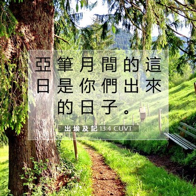 Picture 07 - 出 埃 及 記 13:4 CUVT - 亞 筆 月 間 的 這 日 是 你 們 出 來 - Bible Verse Picture