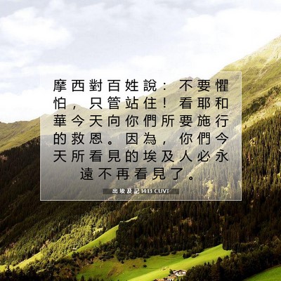 Picture 07 - 出 埃 及 記 14:13 CUVT - 摩 西 對 百 姓 說 ： 不 要 懼 怕 ， - Bible Verse Picture