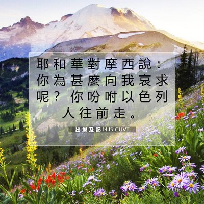 Picture 07 - 出 埃 及 記 14:15 CUVT - 耶 和 華 對 摩 西 說 ： 你 為 甚 麼 - Bible Verse Picture