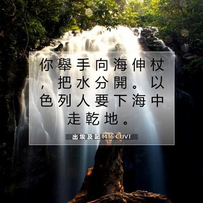 Picture 07 - 出 埃 及 記 14:16 CUVT - 你 舉 手 向 海 伸 杖 ， 把 水 分 開 - Bible Verse Picture