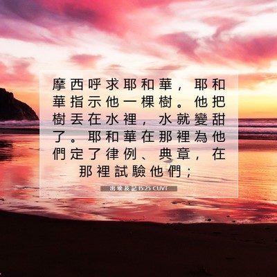 Picture 07 - 出 埃 及 記 15:25 CUVT - 摩 西 呼 求 耶 和 華 ， 耶 和 華 指 - Bible Verse Picture