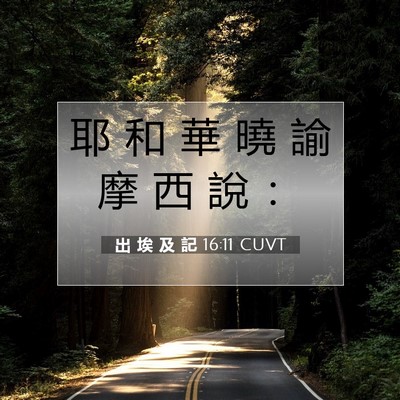 Picture 07 - 出 埃 及 記 16:11 CUVT - 耶 和 華 曉 諭 摩 西 說 - Bible Verse Picture
