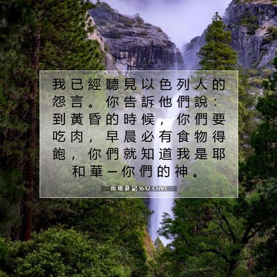 Picture 07 - 出 埃 及 記 16:12 CUVT - 我 已 經 聽 見 以 色 列 人 的 怨 言 - Bible Verse Picture