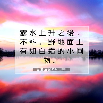 Picture 07 - 出 埃 及 記 16:14 CUVT - 露 水 上 升 之 後 ， 不 料 ， 野 地 - Bible Verse Picture