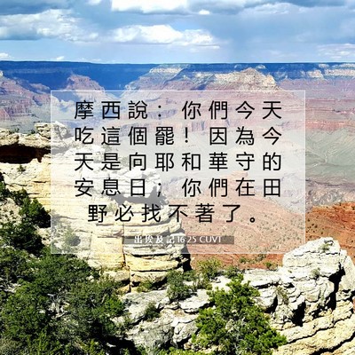 Picture 07 - 出 埃 及 記 16:25 CUVT - 摩 西 說 ： 你 們 今 天 吃 這 個 罷 - Bible Verse Picture