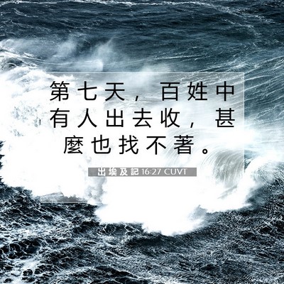 Picture 07 - 出 埃 及 記 16:27 CUVT - 第 七 天 ， 百 姓 中 有 人 出 去 收 - Bible Verse Picture
