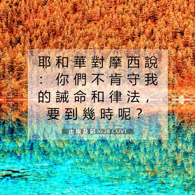 Picture 07 - 出 埃 及 記 16:28 CUVT - 耶 和 華 對 摩 西 說 ： 你 們 不 肯 - Bible Verse Picture