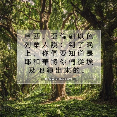 Picture 07 - 出 埃 及 記 16:6 CUVT - 摩 西 、 亞 倫 對 以 色 列 眾 人 說 - Bible Verse Picture