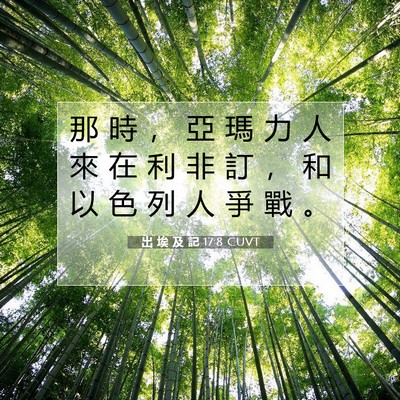 Picture 07 - 出 埃 及 記 17:8 CUVT - 那 時 ， 亞 瑪 力 人 來 在 利 非 訂 - Bible Verse Picture