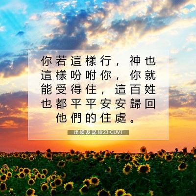 Picture 07 - 出 埃 及 記 18:23 CUVT - 你 若 這 樣 行 ， 神 也 這 樣 吩 咐 - Bible Verse Picture