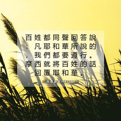 Picture 07 - 出 埃 及 記 19:8 CUVT - 百 姓 都 同 聲 回 答 說 ： 凡 耶 和 - Bible Verse Picture