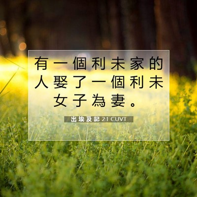 Picture 07 - 出 埃 及 記 2:1 CUVT - 有 一 個 利 未 家 的 人 娶 了 一 個 - Bible Verse Picture