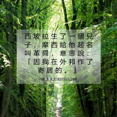 Picture 07 - 出 埃 及 記 2:22 CUVT - 西 坡 拉 生 了 一 個 兒 子 ， 摩 西 - Bible Verse Picture