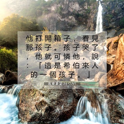 Picture 07 - 出 埃 及 記 2:6 CUVT - 他 打 開 箱 子 ， 看 見 那 孩 子 。 - Bible Verse Picture