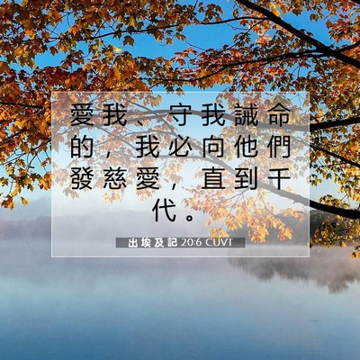 Picture 07 - 出 埃 及 記 20:6 CUVT - 愛 我 、 守 我 誡 命 的 ， 我 必 向 - Bible Verse Picture