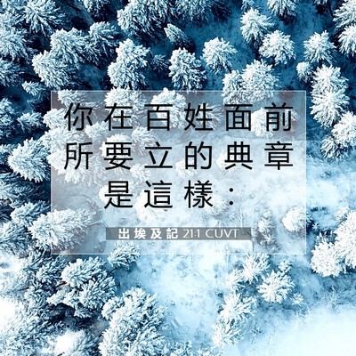 Picture 07 - 出 埃 及 記 21:1 CUVT - 你 在 百 姓 面 前 所 要 立 的 典 章 - Bible Verse Picture