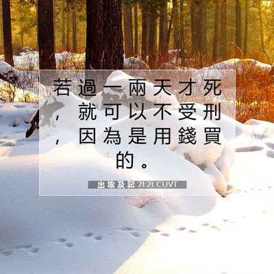 Picture 07 - 出 埃 及 記 21:21 CUVT - 若 過 一 兩 天 才 死 ， 就 可 以 不 - Bible Verse Picture