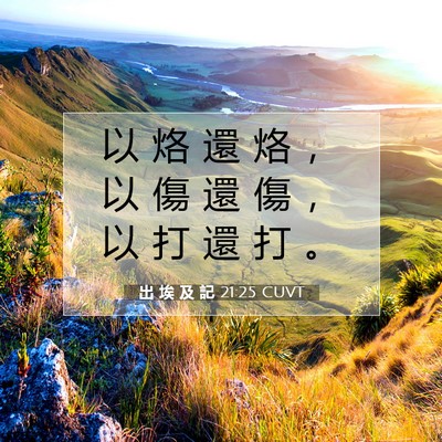 Picture 07 - 出 埃 及 記 21:25 CUVT - 以 烙 還 烙 ， 以 傷 還 傷 ， 以 打 - Bible Verse Picture