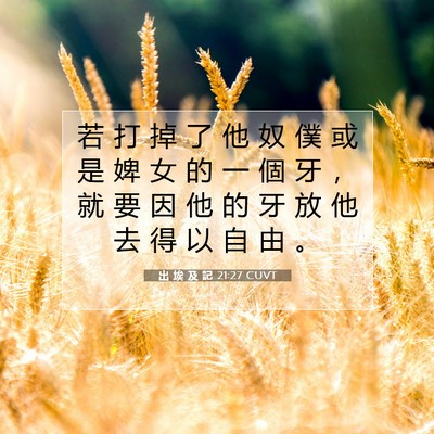 Picture 07 - 出 埃 及 記 21:27 CUVT - 若 打 掉 了 他 奴 僕 或 是 婢 女 的 - Bible Verse Picture
