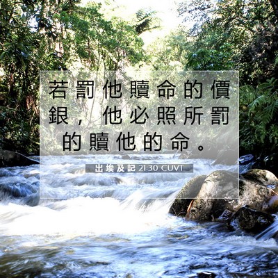 Picture 07 - 出 埃 及 記 21:30 CUVT - 若 罰 他 贖 命 的 價 銀 ， 他 必 照 - Bible Verse Picture