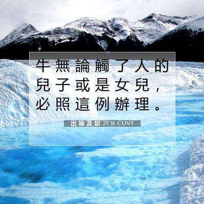 Picture 07 - 出 埃 及 記 21:31 CUVT - 牛 無 論 觸 了 人 的 兒 子 或 是 女 - Bible Verse Picture