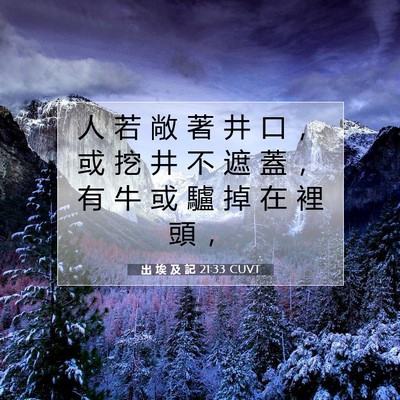 Picture 07 - 出 埃 及 記 21:33 CUVT - 人 若 敞 著 井 口 ， 或 挖 井 不 遮 - Bible Verse Picture