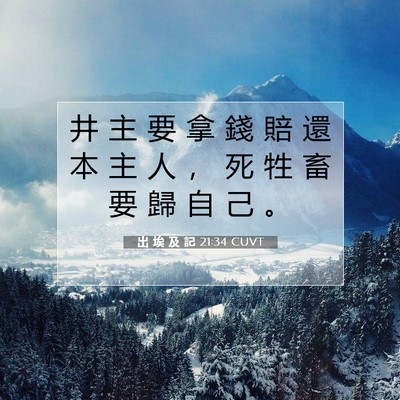 Picture 07 - 出 埃 及 記 21:34 CUVT - 井 主 要 拿 錢 賠 還 本 主 人 ， 死 - Bible Verse Picture