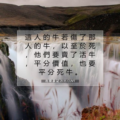 Picture 07 - 出 埃 及 記 21:35 CUVT - 這 人 的 牛 若 傷 了 那 人 的 牛 ， - Bible Verse Picture