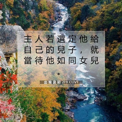 Picture 07 - 出 埃 及 記 21:9 CUVT - 主 人 若 選 定 他 給 自 己 的 兒 子 - Bible Verse Picture