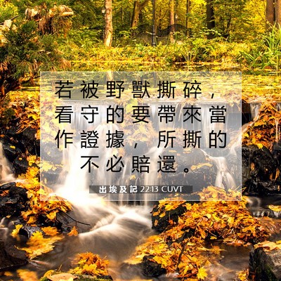 Picture 07 - 出 埃 及 記 22:13 CUVT - 若 被 野 獸 撕 碎 ， 看 守 的 要 帶 - Bible Verse Picture