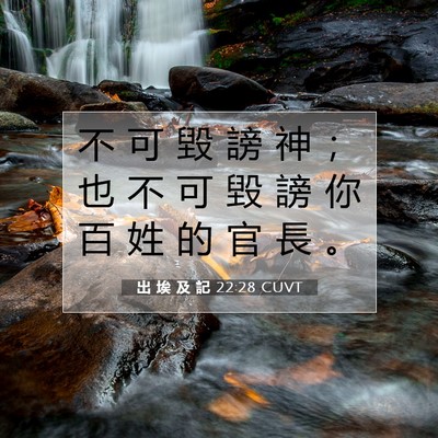 Picture 07 - 出 埃 及 記 22:28 CUVT - 不 可 毀 謗 神 ； 也 不 可 毀 謗 你 - Bible Verse Picture