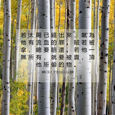 Picture 07 - 出 埃 及 記 22:3 CUVT - 若 太 陽 已 經 出 來 ， 就 為 他 有 - Bible Verse Picture