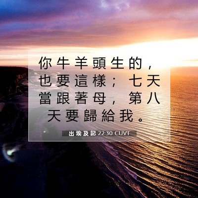 Picture 07 - 出 埃 及 記 22:30 CUVT - 你 牛 羊 頭 生 的 ， 也 要 這 樣 ； - Bible Verse Picture