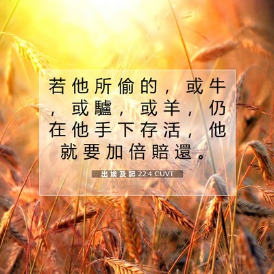 Picture 07 - 出 埃 及 記 22:4 CUVT - 若 他 所 偷 的 ， 或 牛 ， 或 驢 ， - Bible Verse Picture