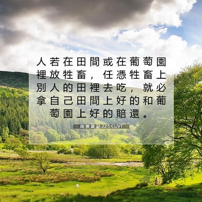 Picture 07 - 出 埃 及 記 22:5 CUVT - 人 若 在 田 間 或 在 葡 萄 園 裡 放 - Bible Verse Picture