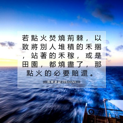 Picture 07 - 出 埃 及 記 22:6 CUVT - 若 點 火 焚 燒 荊 棘 ， 以 致 將 別 - Bible Verse Picture
