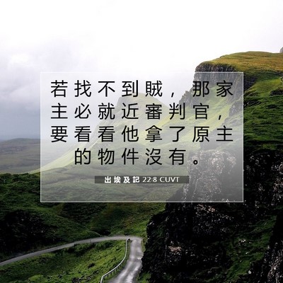 Picture 07 - 出 埃 及 記 22:8 CUVT - 若 找 不 到 賊 ， 那 家 主 必 就 近 - Bible Verse Picture