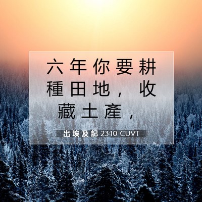 Picture 07 - 出 埃 及 記 23:10 CUVT - 六 年 你 要 耕 種 田 地 ， 收 藏 土 - Bible Verse Picture